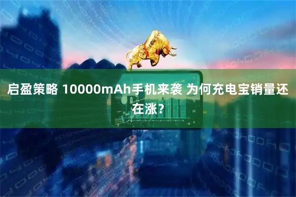 启盈策略 10000mAh手机来袭 为何充电宝销量还在涨？