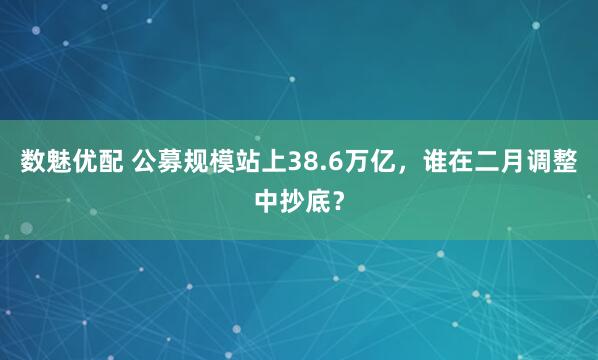 数魅优配 公募规模站上38.6万亿，谁在二月调整中抄底？