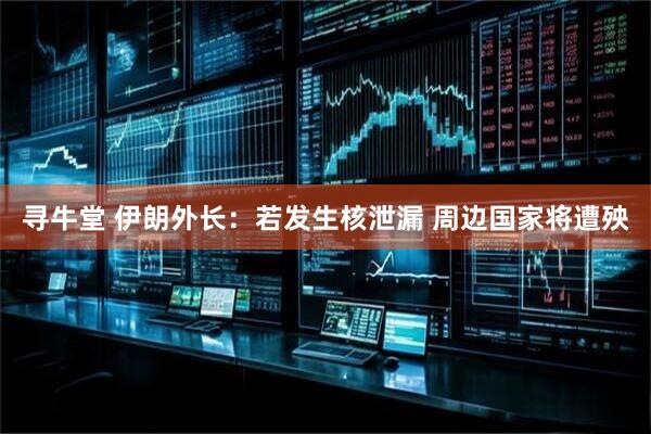 寻牛堂 伊朗外长：若发生核泄漏 周边国家将遭殃