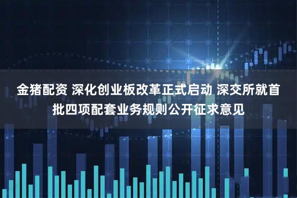 金猪配资 深化创业板改革正式启动 深交所就首批四项配套业务规则公开征求意见