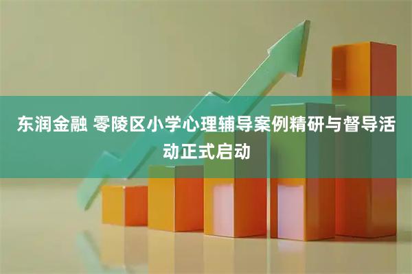 东润金融 零陵区小学心理辅导案例精研与督导活动正式启动