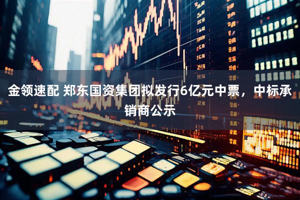 金领速配 郑东国资集团拟发行6亿元中票，中标承销商公示