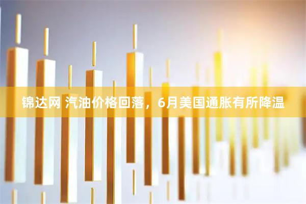 锦达网 汽油价格回落，6月美国通胀有所降温