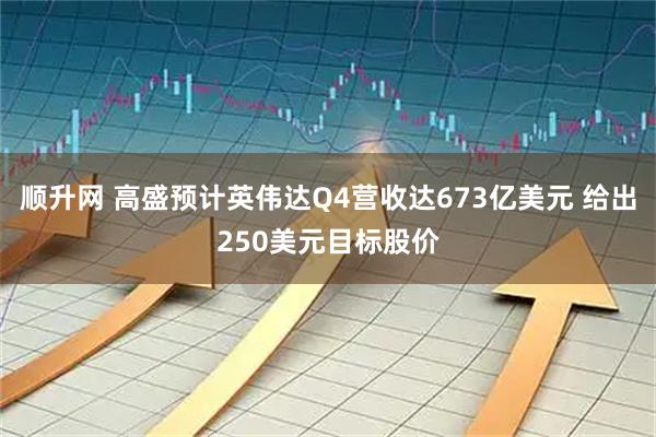 顺升网 高盛预计英伟达Q4营收达673亿美元 给出250美元目标股价