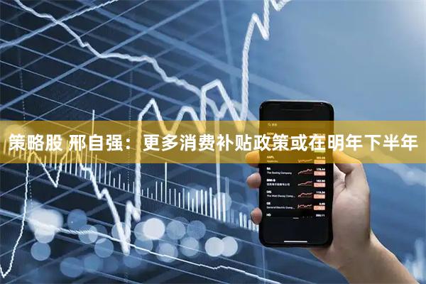 策略股 邢自强：更多消费补贴政策或在明年下半年