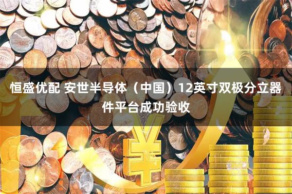 恒盛优配 安世半导体（中国）12英寸双极分立器件平台成功验收