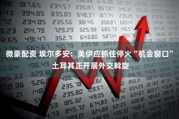 微豪配资 埃尔多安：美伊应抓住停火“机会窗口” 土耳其正开展外交斡旋