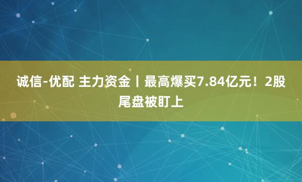 诚信-优配 主力资金丨最高爆买7.84亿元！2股尾盘被盯上