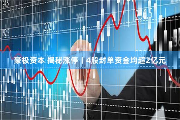 豪极资本 揭秘涨停丨4股封单资金均超2亿元