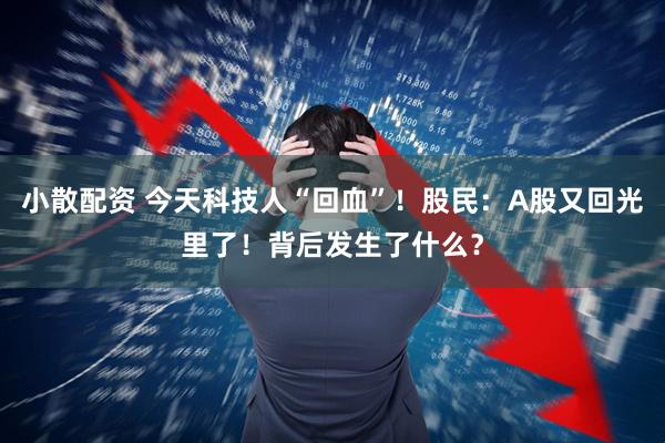 小散配资 今天科技人“回血”！股民：A股又回光里了！背后发生了什么？